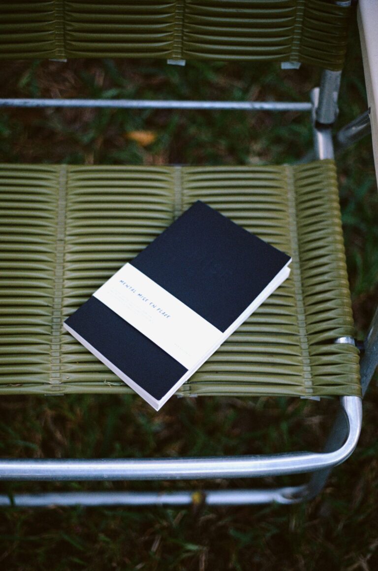mise-journal (16)